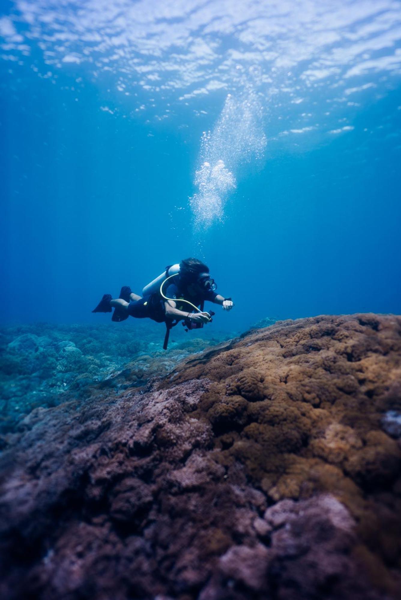 Deep Roots Dive & Yoga Resort Ped 외부 사진